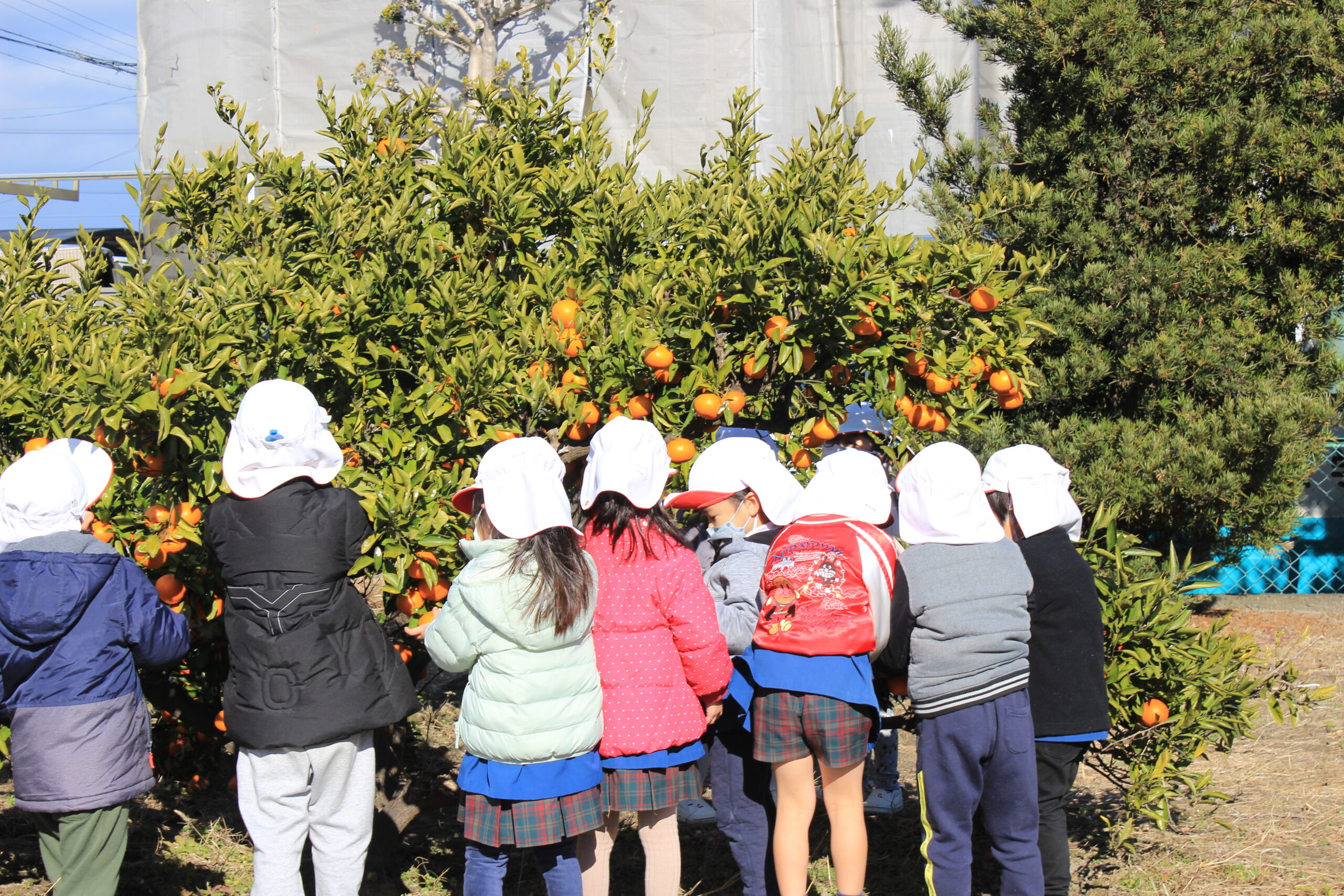 一宮市 明法学園 丹陽幼稚園 大和東幼稚園 - キッズ用品