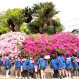 春の散歩つつじ祭り　千秋幼稚園